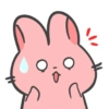 Spidi the bunny 5