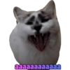 Memel, a Gata 5