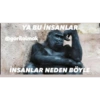 Instagram: gorilolmak 9