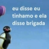 Pingu 11