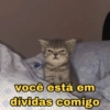 EXPLOSÃO DE SENTIMENTOS 6