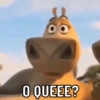 EXPLOSÃO DE SENTIMENTOS 8