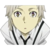 Bungo Stray Dogs 30