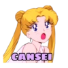 Sailor Moon Irônica 19