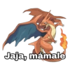 Pokémon Charizard 5