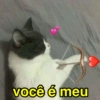 você é meu