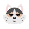 Pack de gatita graciosa 2 19