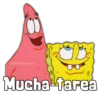 Mira Bob y Patricio 24