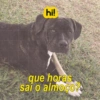 Hi!angel - Pets Edition 2.0 6