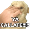 Perritos 17