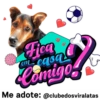 StickerAdoption  8