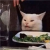 Cats.exe 16