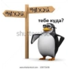 Shitpost arabe 29
