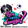 StickerAdoption  18