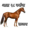 Marathi Meme 12
