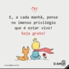 Bomdia 5