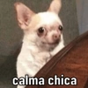 ATUALIZE SEUS MEMES 14