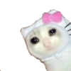 Michis Sad 7