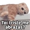 No les pasa que ✨TRISTEZA✨😭 6