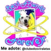 StickerAdoption  11