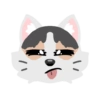 Pack de gatita graciosa 2 21