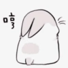 ꮺ﹗ bunny⠀㣴㐆 12
