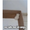 Cats.exe 14