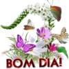 Bom dia! Boa tarde! Boa noite! 7