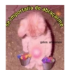 Gatos.anonimos 15