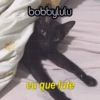 Bobbylulu Pets Edition 9