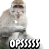 ANIMALS 8