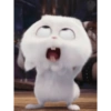 Snowball Rabbit 2 13