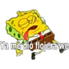 Bob Esponja random 13