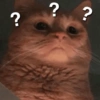 ? ? ?