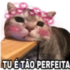 Amor e cantadas 14