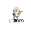 Perritos 24