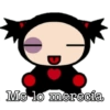 Pucca 25