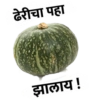 Marathi 7