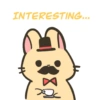 Spidi the bunny 22