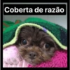 Lola Cristina mizanzuk 9