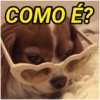 1° Lugar em memes 8
