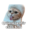Michis hot 7