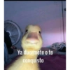 Chavitos bien 5