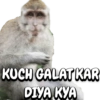 ANIMALS 9