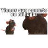 Ratatouille 17