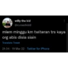 Willy_1 9