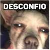 Melhor que muita gente ? 9