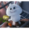 Snowball Rabbit 2 6