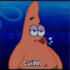 Stiker Patrick 5