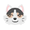 Pack de gatita graciosa 2 15